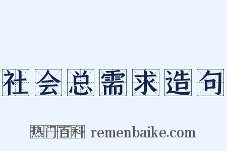 社会总需求造句是什么意思的图片